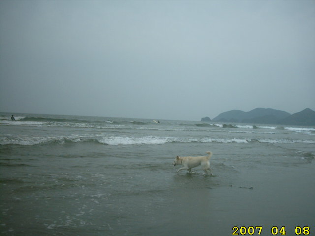 7-ahner-eikaiwa-tel-34-5666-april-8-2007-midorigaoka-nobeoka-nagahama-beaches.jpg
