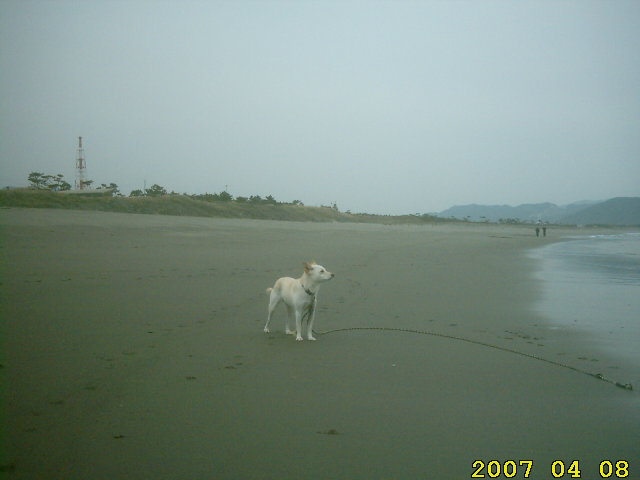 93-ahner-eikaiwa-tel-34-5666-april-8-2007-midorigaoka-nobeoka-nagahama-beaches.jpg