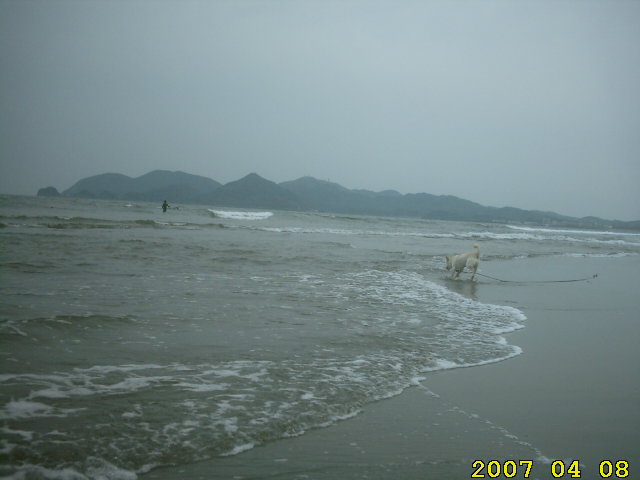 95-ahner-eikaiwa-tel-34-5666-april-8-2007-midorigaoka-nobeoka-nagahama-beaches.jpg