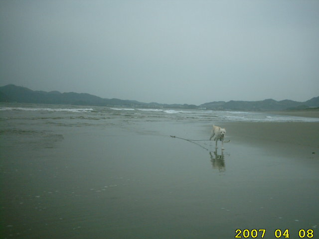 96-ahner-eikaiwa-tel-34-5666-april-8-2007-midorigaoka-nobeoka-nagahama-beaches.jpg