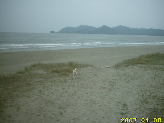 looking-south-ahner-eikaiwa-tel-34-5666-april-8-2007-midorigaoka-nobeoka-nagahama-beaches.jpg